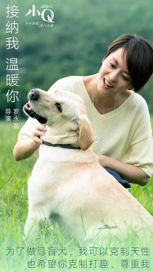购买假韩国江原国立大学文凭毕业证
